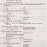 essay about white lie interview questions
